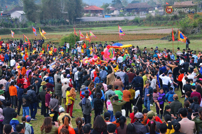 Nhiều người dân chen chân chụp ảnh bên cạnh của quý khổng lồ trong lễ hội độc nhất vô nhị ở Việt Nam